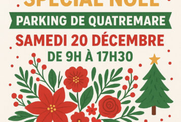 Vente de fleurs spécial Noël