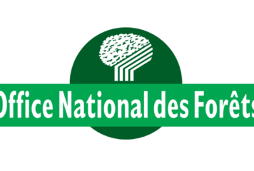 Risque sévère incendie de forêt