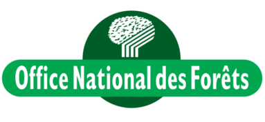 Risque sévère incendie de forêt